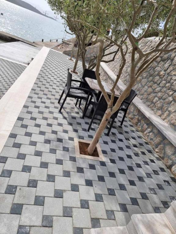 Apartment Domane Nenad Neum